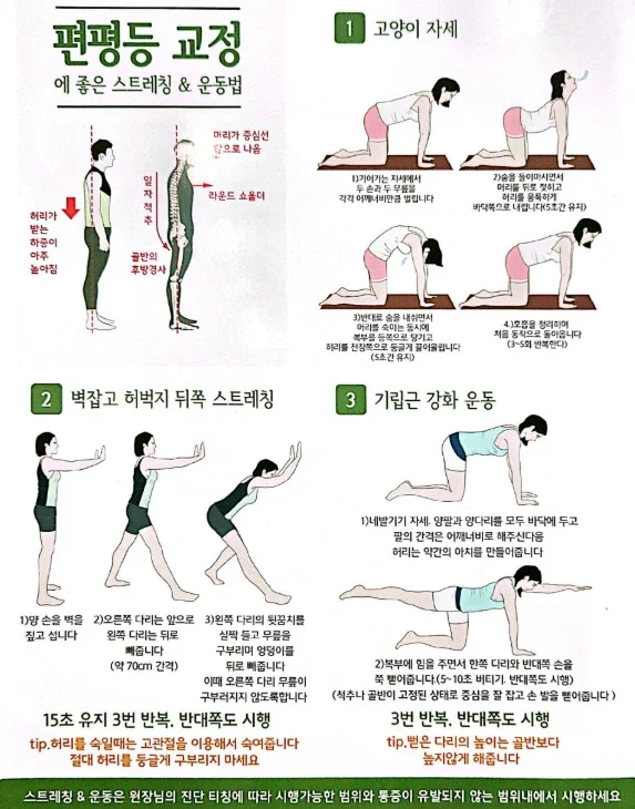 편평등 교정 스트레칭