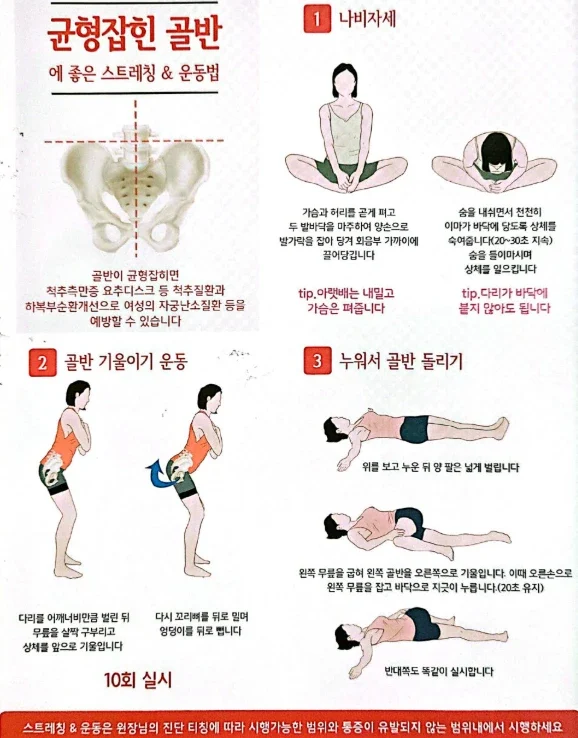 균형 잡힌 골반 스트레칭